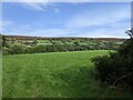 Looking across fields to Bryn Arw