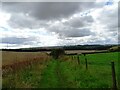 Field path south from Flinton Hill