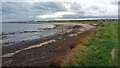 Newbiggin from north