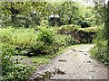 Jubilee Colliery Nature Reserve