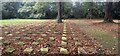 East Lane Cemetery