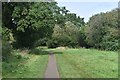 Path between playing fields at Testwood