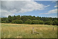 Lochmuir Wood