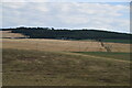 Rolling Fife farmland