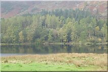 NY2904 : Trees reflected in Blea Tarn by Philip Halling
