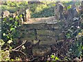 Stone Stile, Sheepscombe