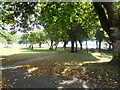 Attractive park at Brunel Quay