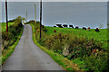H3876 : A steep road, Mullanatoomog by Kenneth  Allen