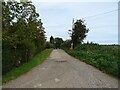 Track (footpath) off the A1062