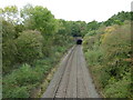 Railway and Wing Tunnel