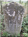 Old Milestone by the B3089, Kemp