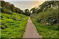 Footpath along the disused railway