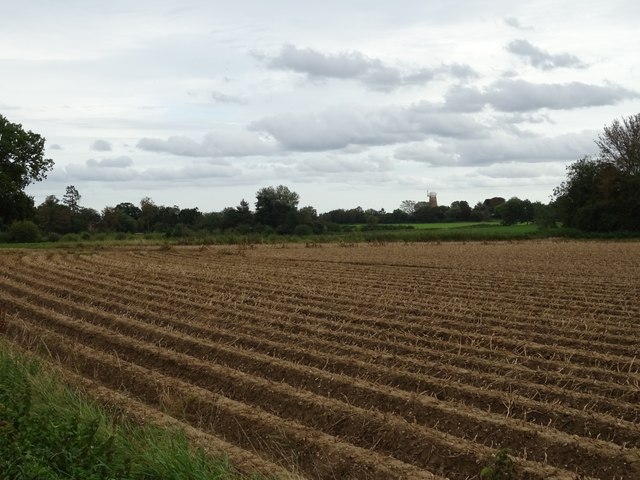 Ridged field of Hall Road © JThomas :: Geograph Britain and Ireland