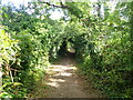 Pembrokeshire Coast Path