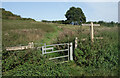 Another Footpath Gate