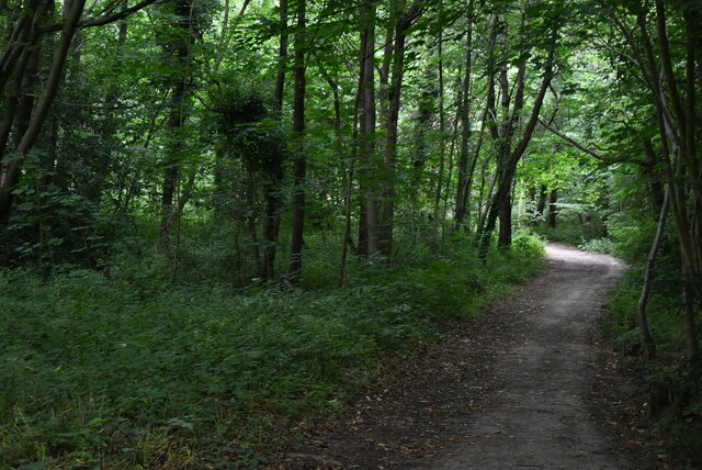 Joydens Wood © N Chadwick :: Geograph Britain and Ireland