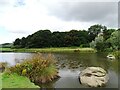 NZ3453 : Small wildlife pond at Herrington by Robert Graham