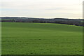 Cambridgeshire farmland
