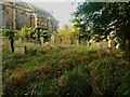 The churchyard behind Holy Trinity Church, Queensbury