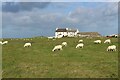 Balephetrish, a farm on north Tiree