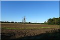 Fields beside Common Lane