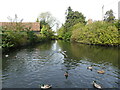 The Moat, Headstone Manor, Harrow