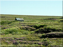 NB3845 : Moorland Hut, Isle of Lewis by David Dixon