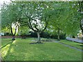 Small green space in Wrenthorpe