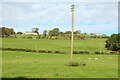 Grass fields on the North of the South Tyne at Haydon Bridge