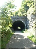 SK1272 : Eastern portal of Rusher Cutting Tunnel, Monsal Trail by David Smith