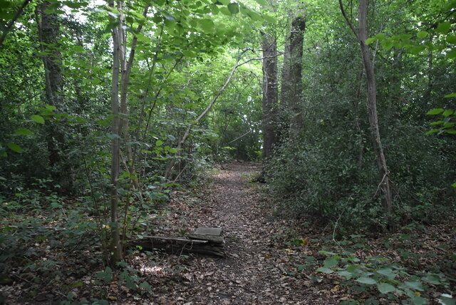 Footpath, Chalk Wood © N Chadwick :: Geograph Britain and Ireland