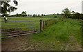 ST6804 : Farmland SSE of Buckland Newton by Derek Harper