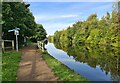 Bridgewater Canal