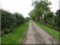 Hedge-lined minor road heading towards Lochton