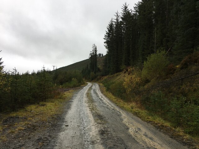 Forestry road into Craik Forest © Steven Brown cc-by-sa/2.0 :: Geograph ...