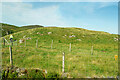 Hill near Carloway