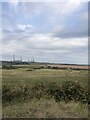 Looking across dunes and farmland