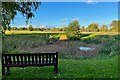 Bench by a pond