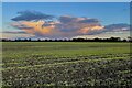 Farmland under a lurid sky