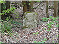 Old Milestone by A46, Green Street, almost opposite new-build house 