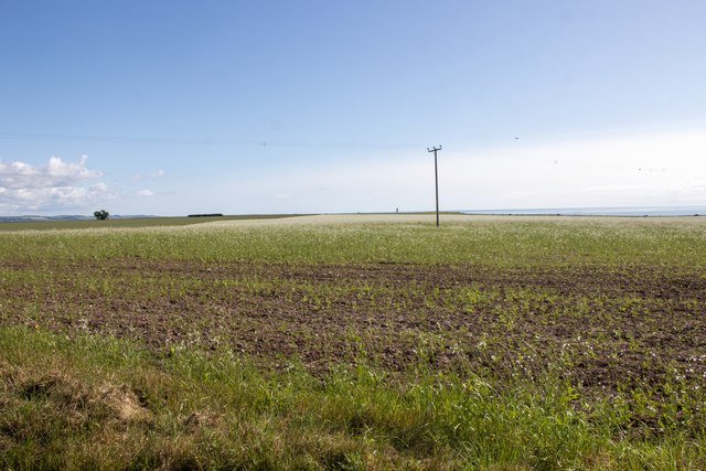 Field Bordering Inchbrayock Manse Usan © Adrian Diack Geograph