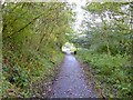 Cycle path following route of former railway