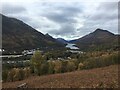 Bracken and deciduous trees above Kinlochleven