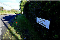 H5375 : Spring Road, Fernagh by Kenneth  Allen