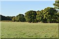 Low Weald farmland