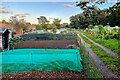 Allotments behind the school