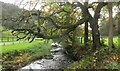 Clough Brook