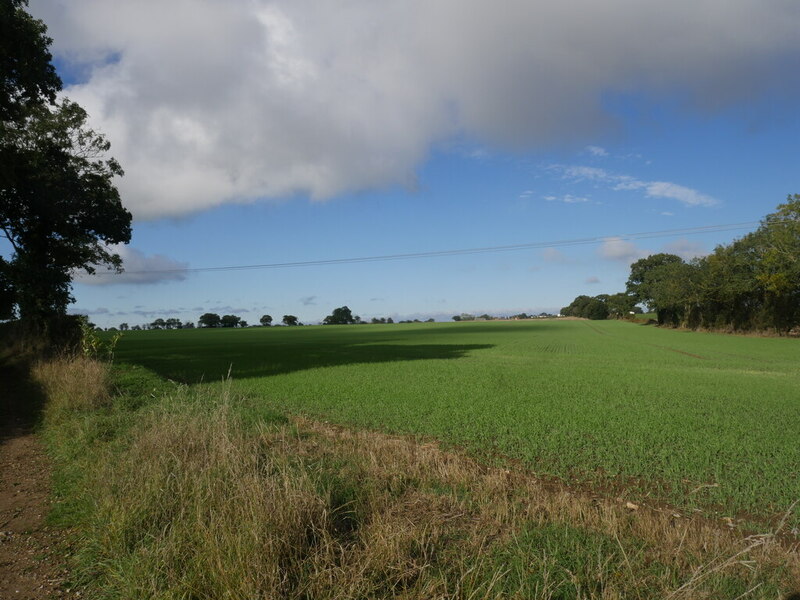 agricultural-landscape-david-pashley-cc-by-sa-2-0-geograph-britain