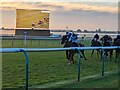 TL6262 : Inside the last half furlong at the Rowley Mile Racecourse, Newmarket by Richard Humphrey