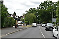 Petts Wood Rd